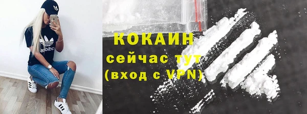 хмурый Алексин