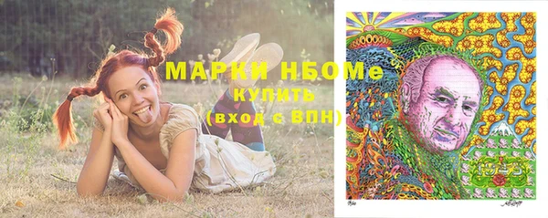 хмурый Алексин