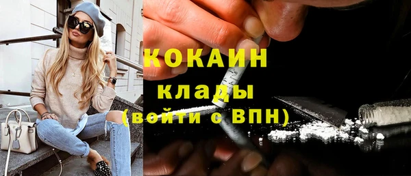 хмурый Алексин