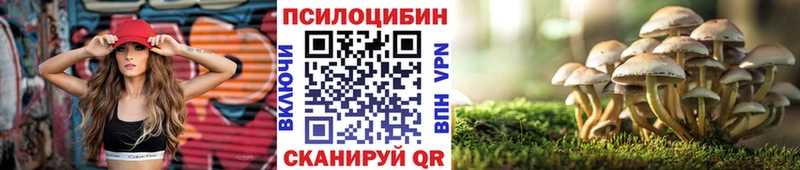 магазин Бологое Псилоцибиновые грибы GOLDEN TEACHER